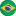 Brazil flag